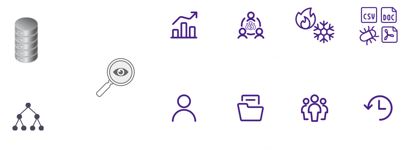 DataAnalyzer Storage Analysis and Optimization